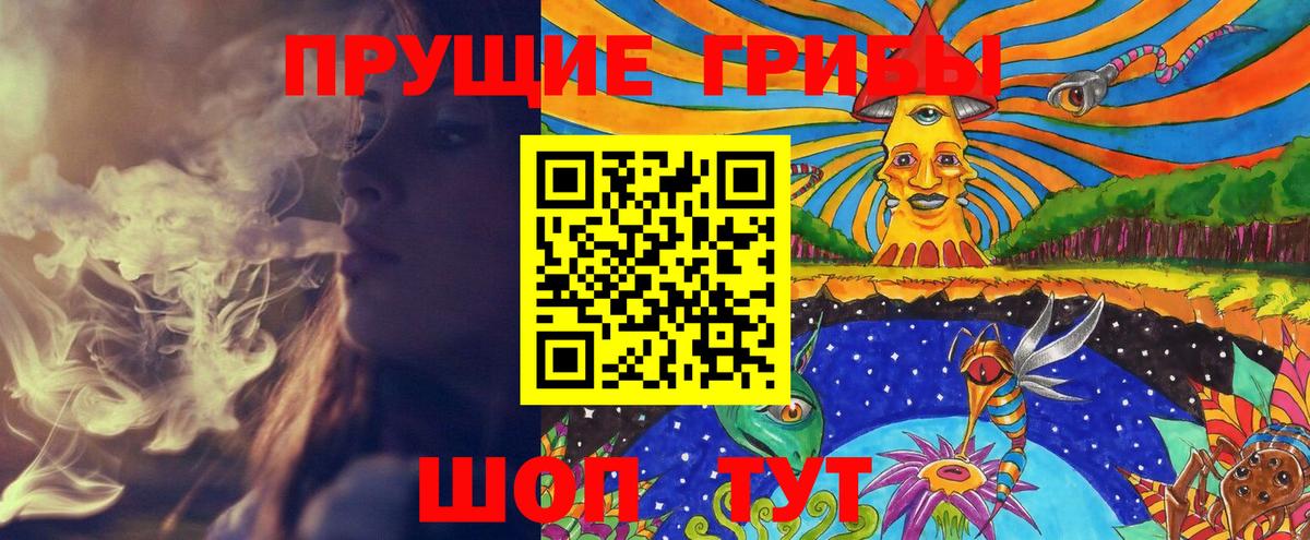 Тейково  Галлюциногенные грибы Psilocybe  Вход с VPN 
