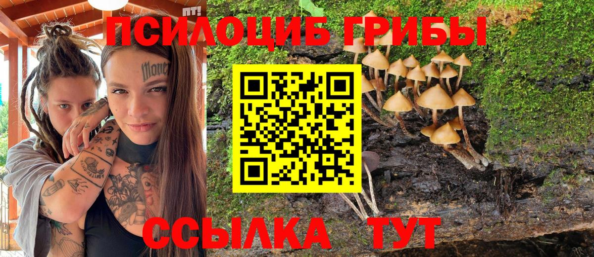 Псилоцибиновые грибы Magic Shrooms Тейково